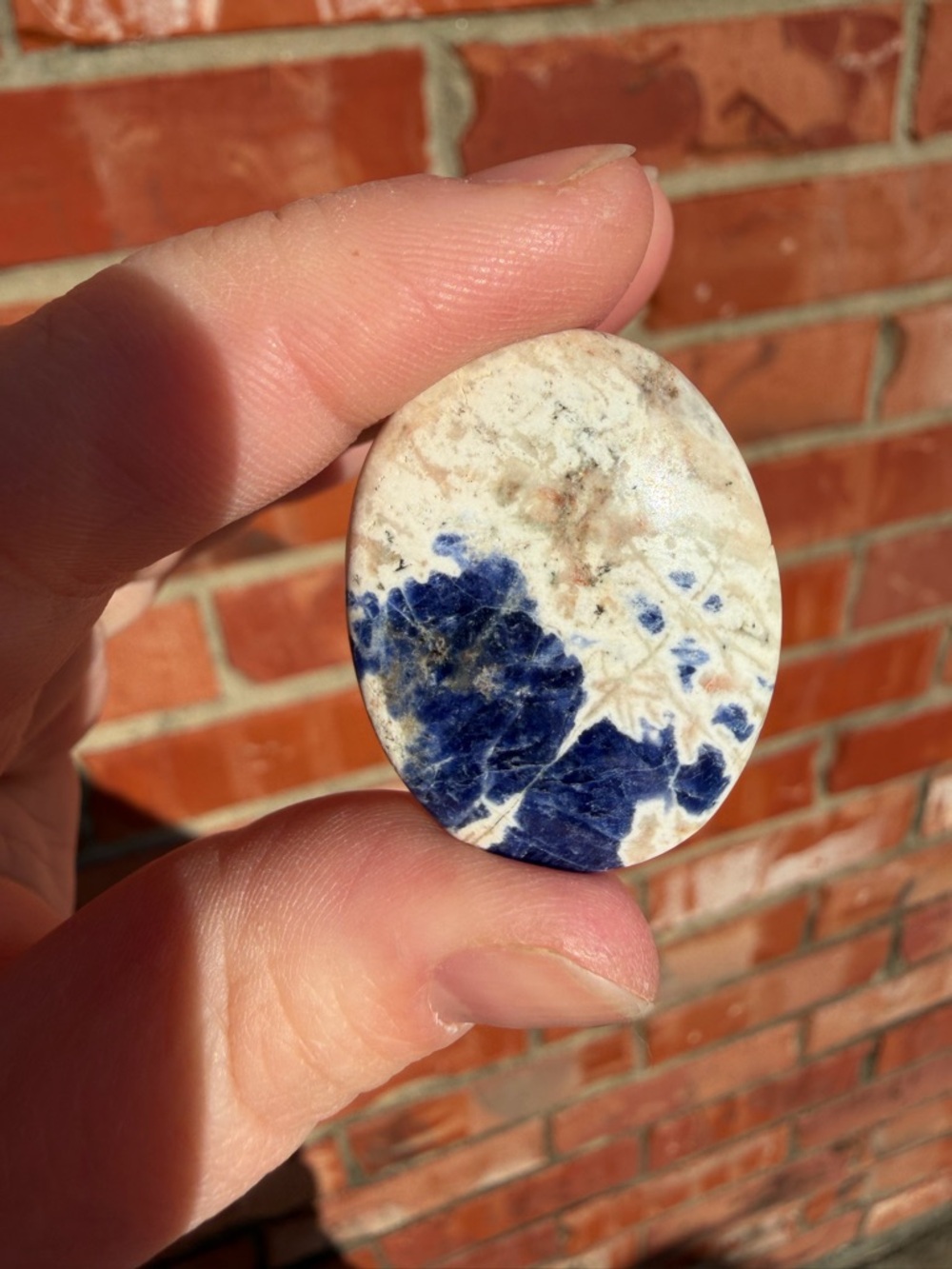 Sodalite Cabochon #5